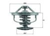 RENAU 5010295225 Thermostat, coolant